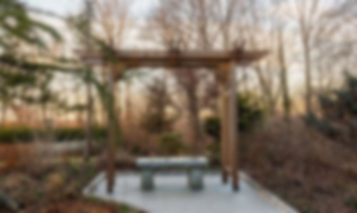 Wooden Pergola