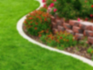 Curved Lawn Edging