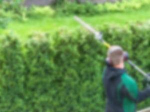 Trimming a Hedge